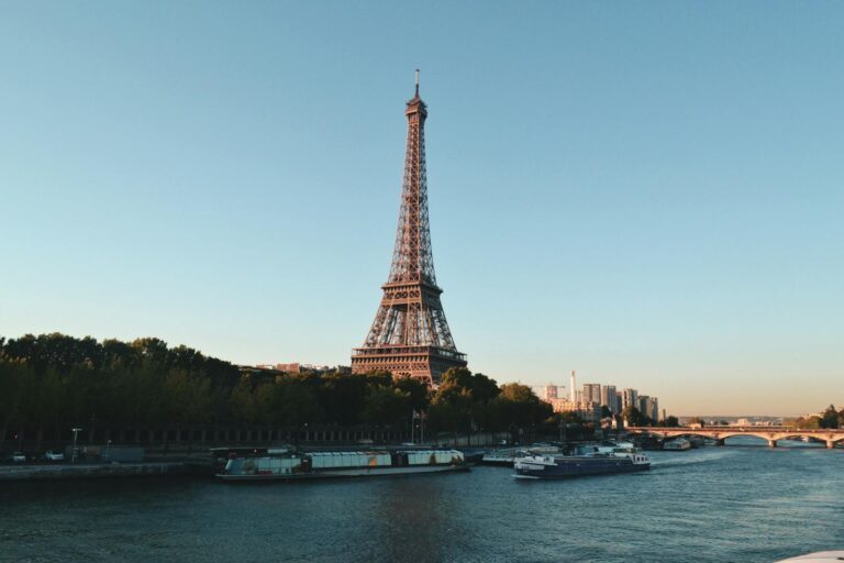 prospection digitale du marché français