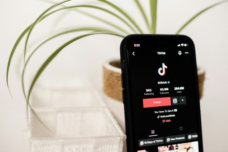prospection B2B via tiktok
